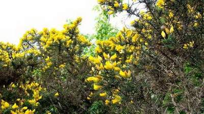 渝中哪里可以请到看装修的命理大師