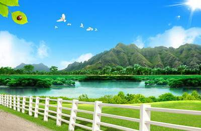 民间偏方招财風水【陆淼淼（叁荷）】