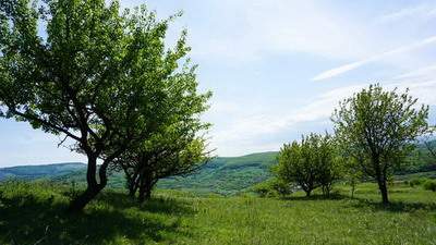 沙坪坝哪里找得到看选房的風水师