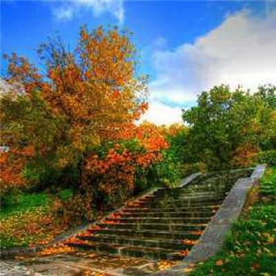 渝中哪里可以请到看酒店装修的易经風水大師