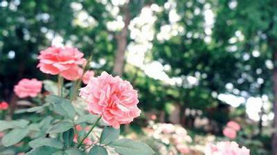 渝北灵验的風水师傅哪个