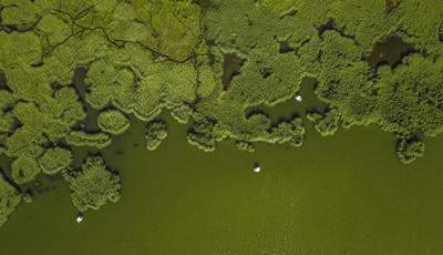 渝中出名的風水玄学大師谁看得准