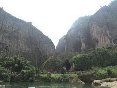 风水墓地种什么树好