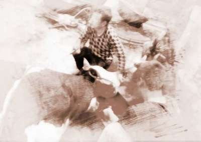 梦见前女友道歉