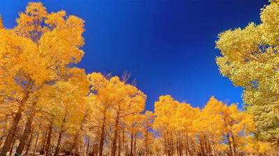 渝北哪个命理風水师看家庭装修風水