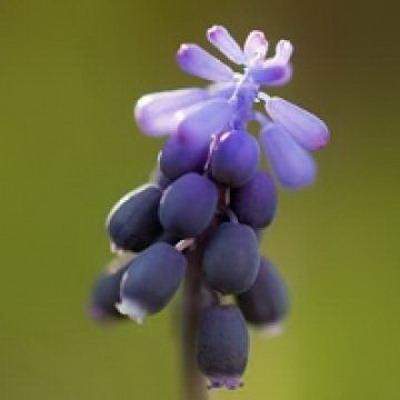 渝中哪个風水看理发店風水看得好