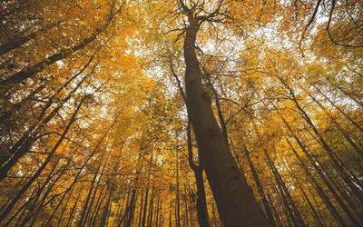 九龙坡哪个風水大師看儿童卧室風水厉害