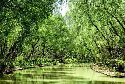 南岸哪个风水大师看会议室风水口碑要好些