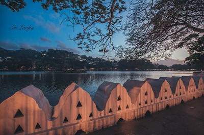 大渡口哪个風水預測大師看祖坟風水出名