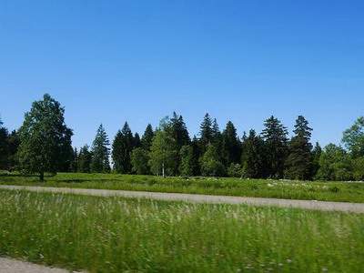 南岸看铺面風水哪个風水大師看得好