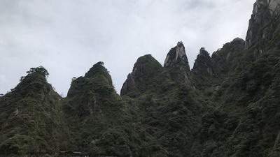 沙坪坝哪个命理风水师看教育机构风水好
