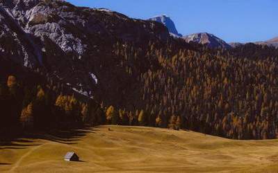 南岸哪个风水先生看店面风水看得更准