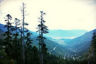 巴南哪个易学風水大師看婚房風水