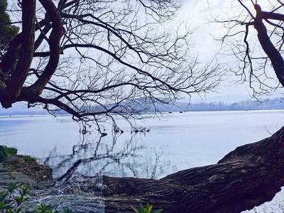 沙坪坝看酒店風水哪个風水玄学大師更有名气