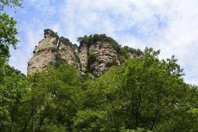 南岸哪个風水师看农村坟地風水算命最厉害