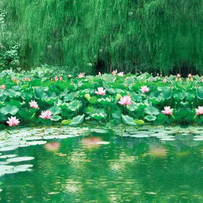 沙坪坝哪个命理风水师看办公风水有名
