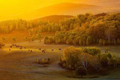 沙坪坝哪个風水改运大師看铺面風水好