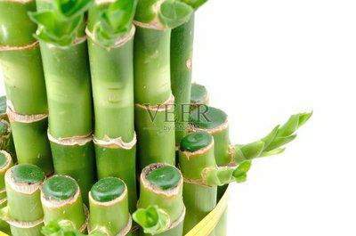 沙坪坝哪个易经風水大師看餐饮店風水最灵