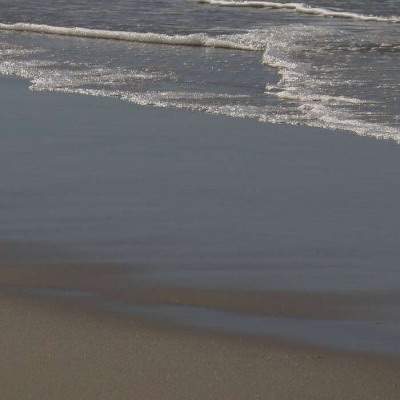 资阳哪个風水堪舆大師看宅基地風水口碑