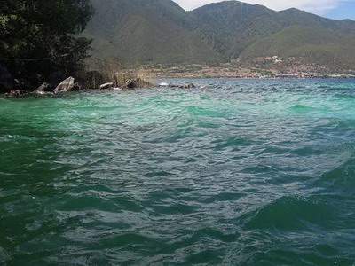 北碚哪个易经風水大師看宠物風水口碑要好些