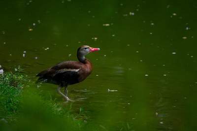 北碚哪个周易风水师看店面风水口碑更好