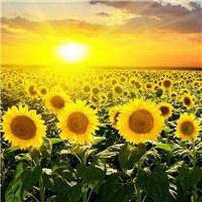 渝北哪个堪舆大师看星级酒店风水最厉害