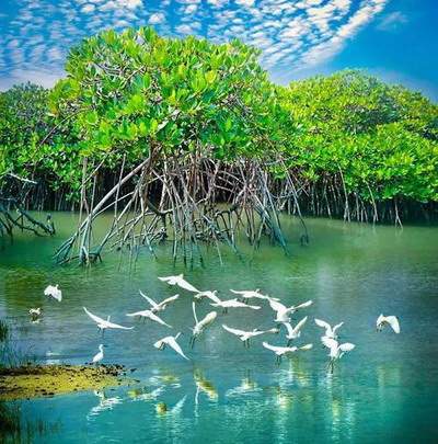 沙坪坝看门店装修風水哪个堪舆大師