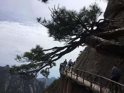 南岸哪个風水老师看奶茶店風水更出名