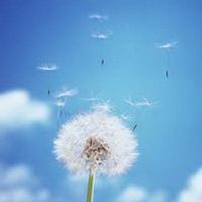 南岸看公寓風水哪个風水