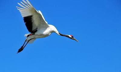 大渡口哪个阳宅風水大師看别墅風水最有名