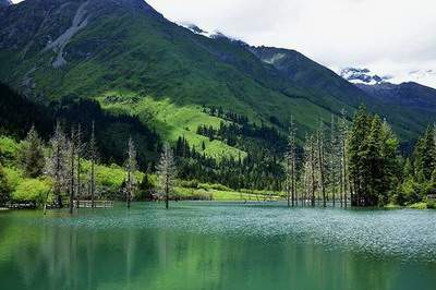 大渡口哪个易学風水大師看公墓風水看得更准