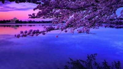 沙坪坝哪个风水大师看公墓风水预测厉害