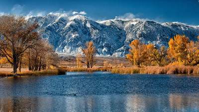 本命年反而运气好的人,哪些人本命年运势好 本命年反而运气好的人,哪些人本命年运势好