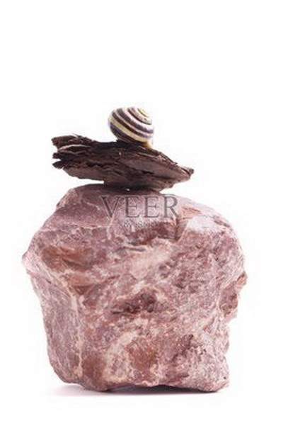 沙坪坝看酒吧风水哪个易经风水大师口碑最好