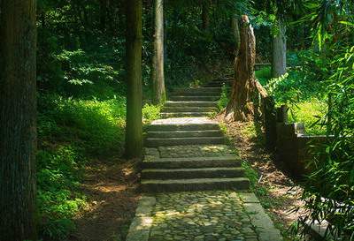 南岸哪个风水策划大师看餐厅风水最好