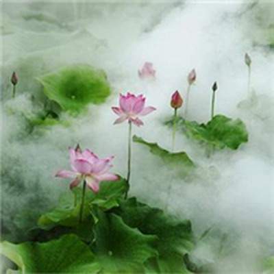 北碚哪个阳宅风水大师看居家风水最好