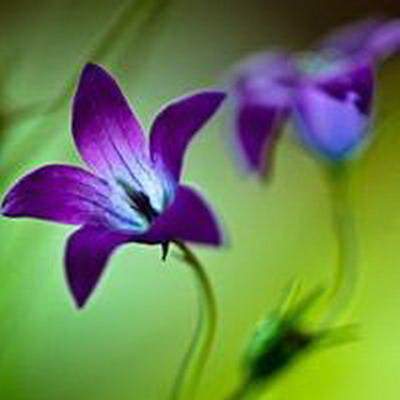 渝北哪个風水老师看高层住宅風水