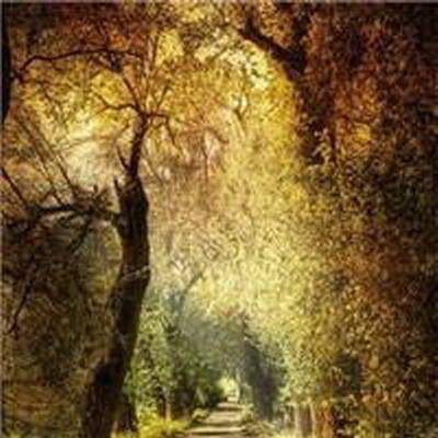 北碚看家庭装修風水哪个風水师傅更厉害