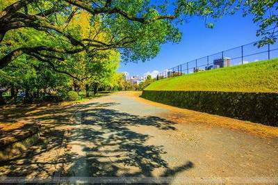 大渡口哪个風水先生看饭馆風水有名