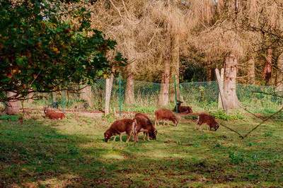渝中哪个易学風水师看建房子風水