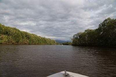 沙坪坝哪个風水命理大師看祖坟風水厉害