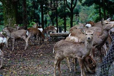 江北哪个風水大師看厂房風水有名气