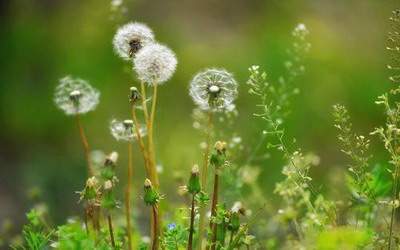 江北哪个風水策划大師看阴宅風水