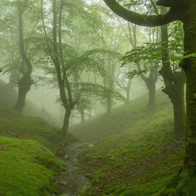 渝北哪个易学風水大師看餐厅風水更有名