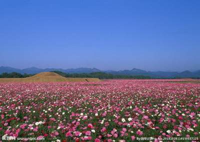 2021年农历七月初二出生的女宝宝命运分析大全 2021年农历七月初二出生的女宝宝命运分析大全