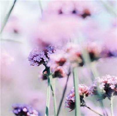 南岸哪个風水先生看汽车4S店風水有名