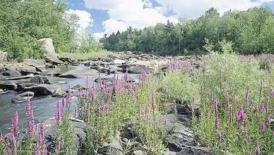 沙坪坝哪个易学風水师看门面風水更出名