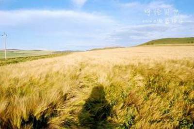 大渡口哪个易经風水大師看餐馆風水算命最厉害