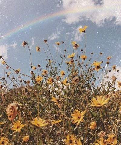 江北哪个風水师傅看卧室風水更出名