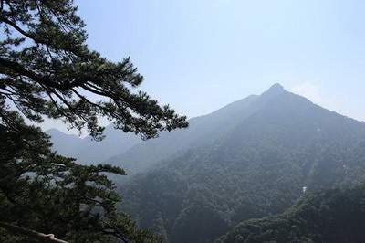 巫山哪个易经風水大師看老宅風水看得准些